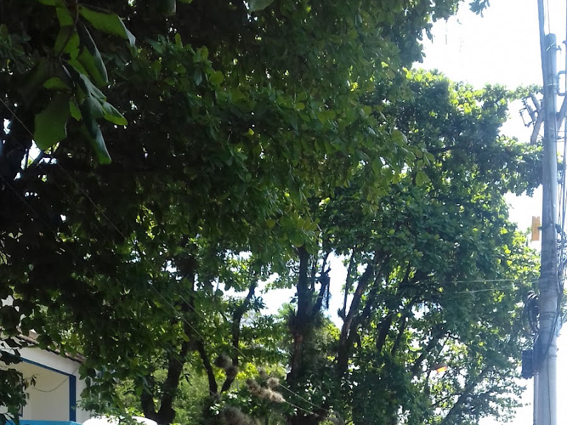 Foto 2 de Centro Municipal de Saúde Cecília Donnangelo