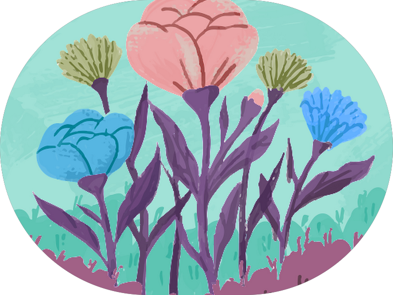 Foto 4 de Centro Odontológico Conceito