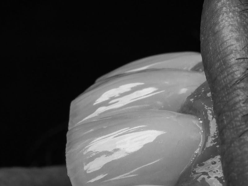 Foto 5 de CENTRO ODONTOLÓGICO Dr. Sérgio Carrilho