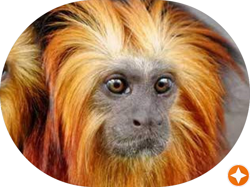 Foto 6 de Centro Odontológico Dra. Renata Taborda