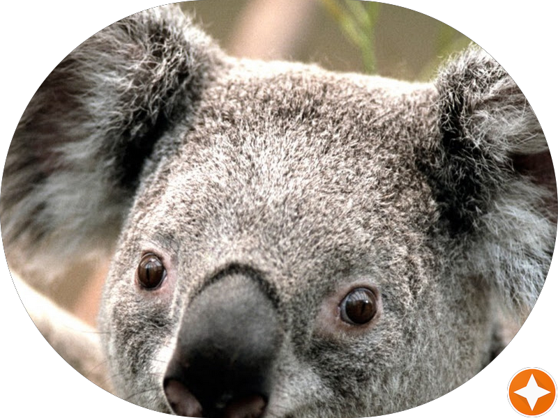 Foto 2 de Centro Odontológico Rigato