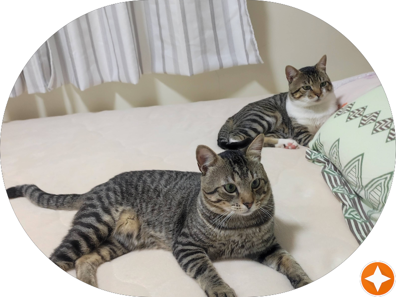 Foto 5 de Centro Odontológico Sorriso