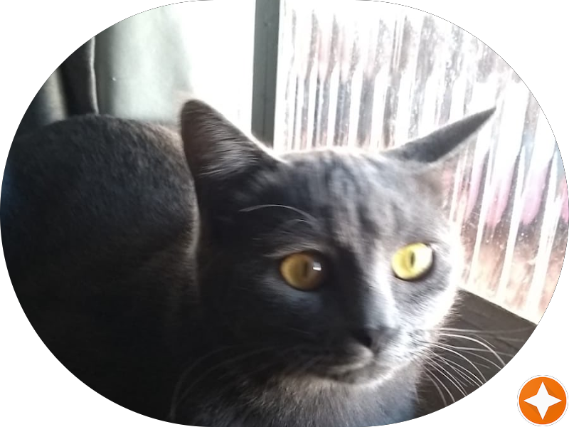 Foto 6 de Centro Odontológico Sorriso