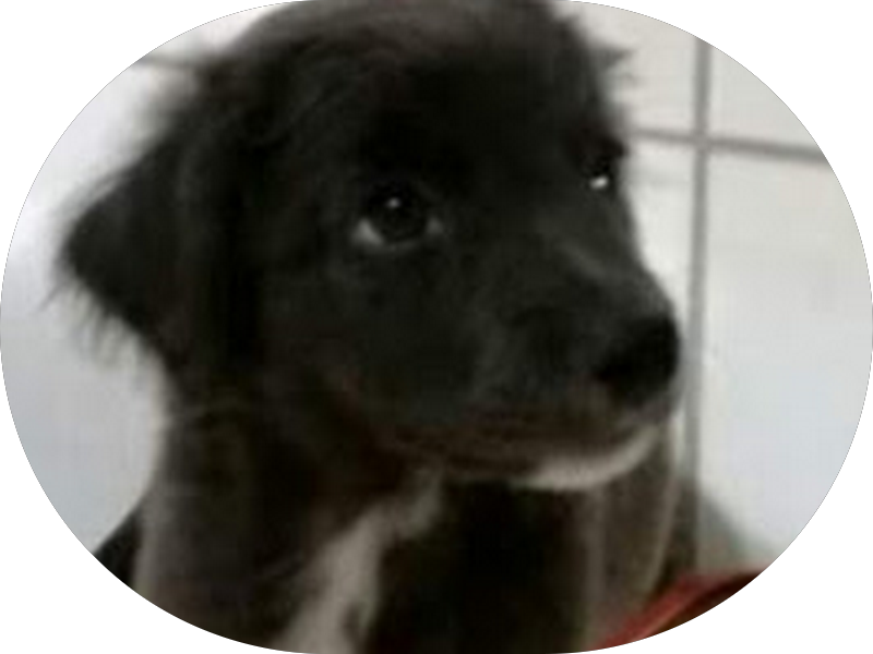 Foto 4 de Centrovida Odontologia | Dentista Asa Norte