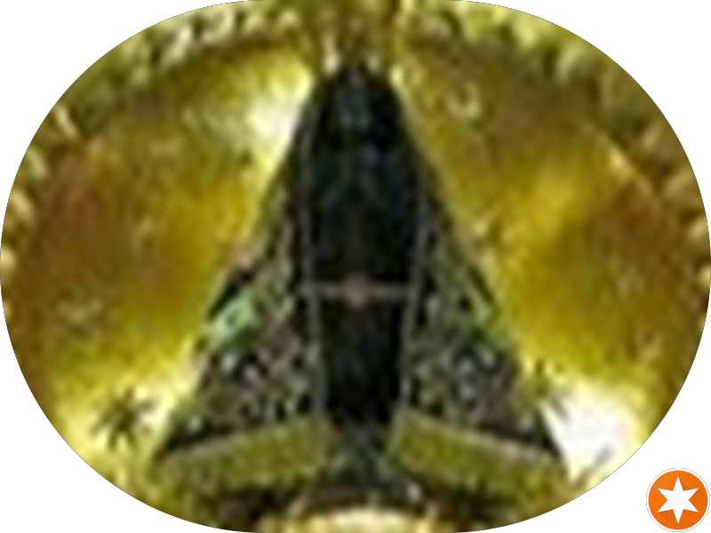 Foto 3 de CEO - Centro Especializado em Odontologia