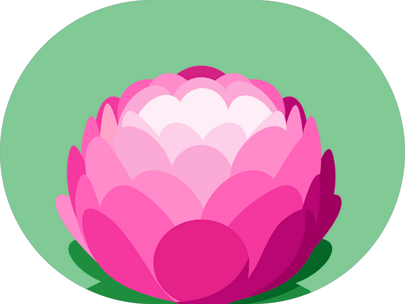 Foto 6 de CEO Clinica Especializada em Odontologia