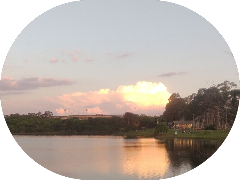 Foto 5 de CEO Odontologia