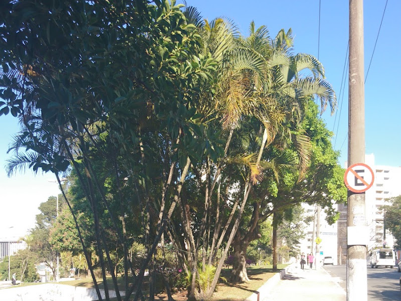 Foto 2 de CEO Vila Galvão