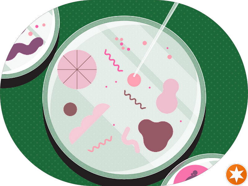 Foto 3 de CFK Odontologia