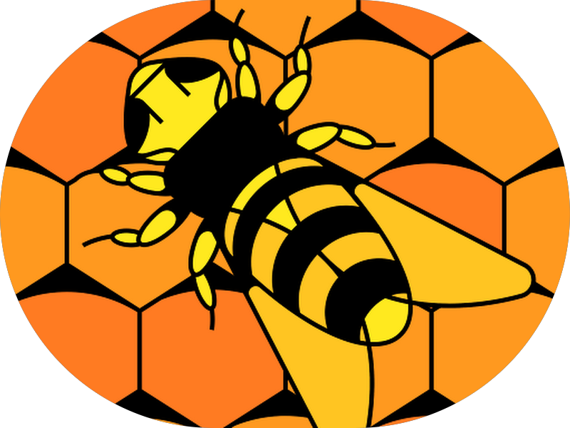 Foto 3 de Ciklus Medicina Especializada