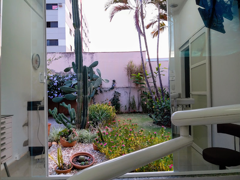 Foto de Cirurgiã dentista Dra. Christina Willamowius