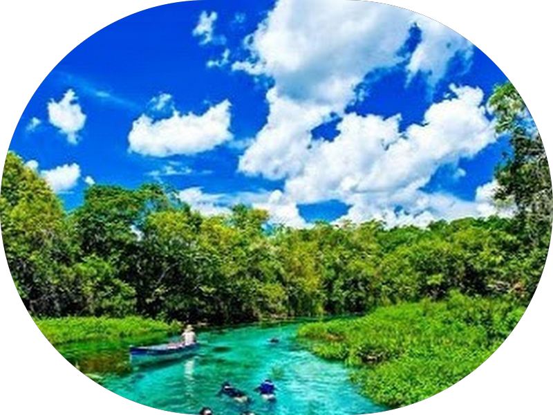 Foto de Cirurgião Buco Maxilo Facial Edvaldo Simões Antunes