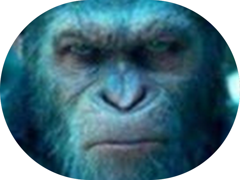 Foto 2 de CLIMED (Clínica de Todos Teófilo Otoni)