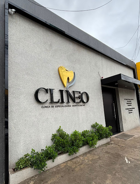 Foto 2 de CLINEO - Dr. Eduardo & Dr. Rodrigo - Dentista Imperatriz