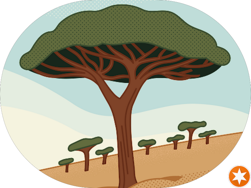 Foto de Clinic odontologica da abil