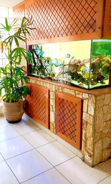 Foto 3 de Clínica Amorim