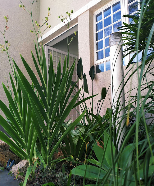 Foto 2 de Clínica Assato Guanabara