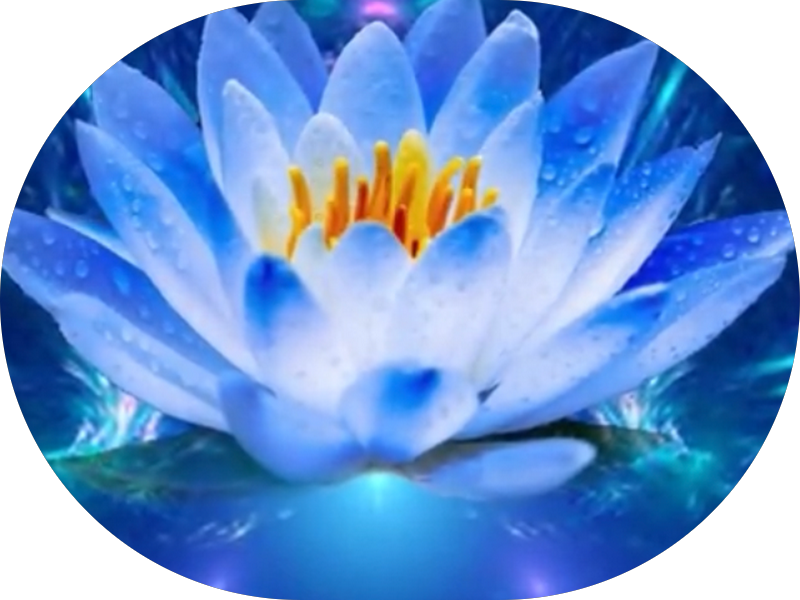 Foto 7 de Clínica Barreto