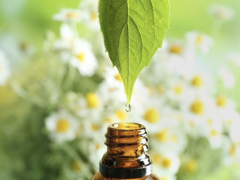 Foto 2 de Clínica Bem Querer