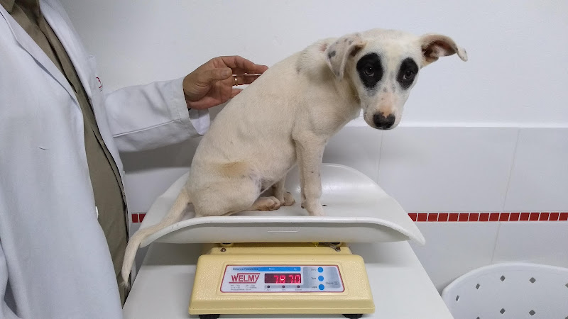 Foto 2 de Clínica Biofilia