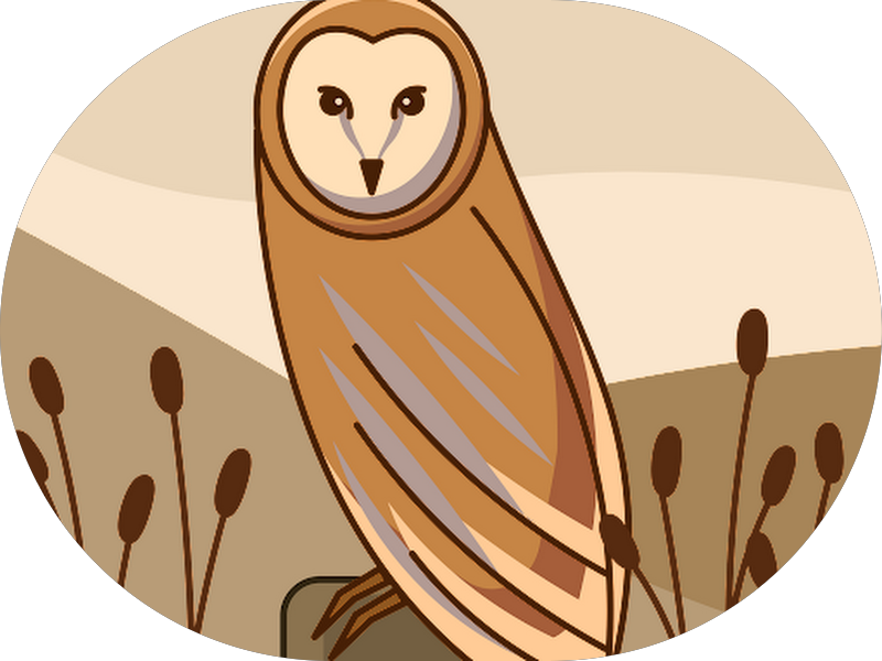 Foto 5 de Clínica Corpo & Oral (Fisioterapia e Odontologia)