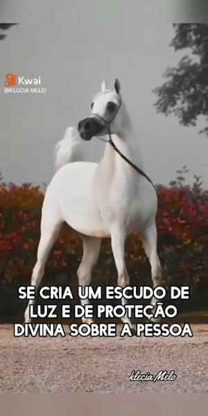 Foto 3 de Clínica da Face Odontologia