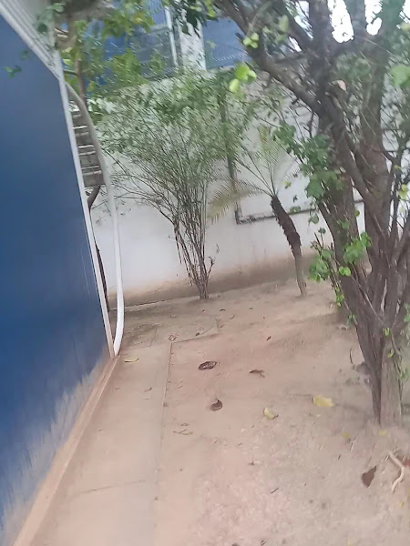 Foto 3 de Clínica da Família Barbara Starfield