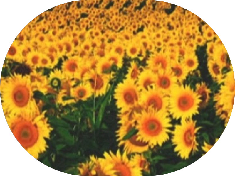 Foto 3 de Clínica de estética Renascer