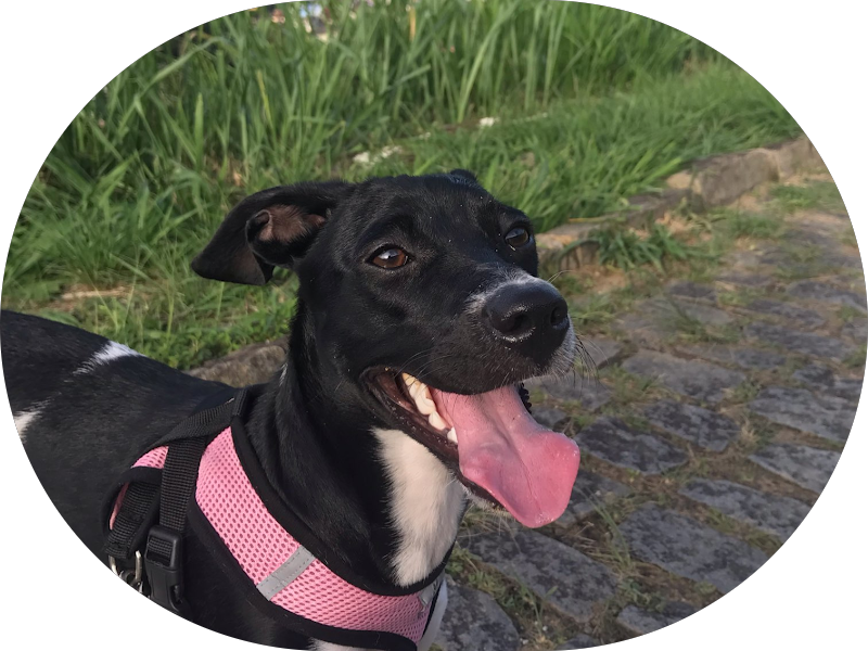 Foto 2 de Clínica de Fonoaudiologia Roselene Oliveira