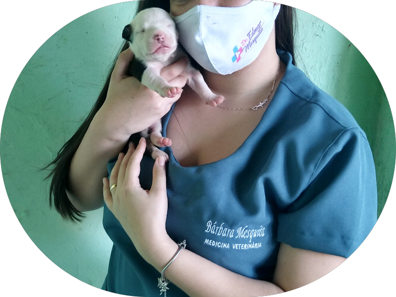 Foto 2 de Clínica de Reabilitação Oral