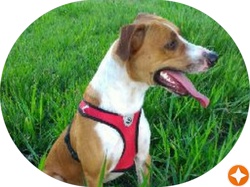 Foto 3 de Clínica de Urologia Dr. Jorge Dall Oglio