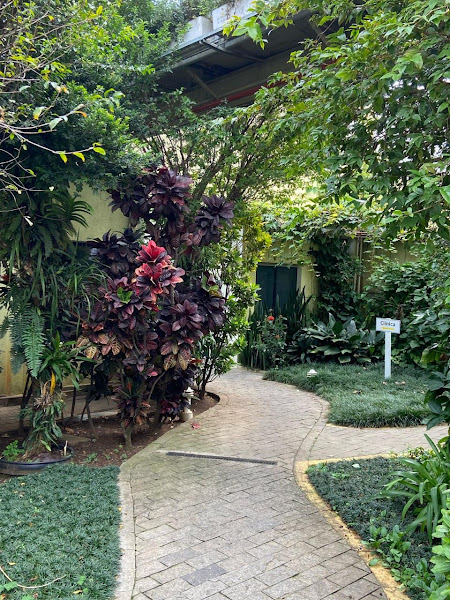 Foto 3 de Clinica Dente de Leite