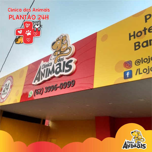 Foto 2 de Clínica dos Animais