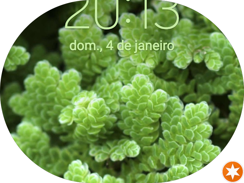 Foto 3 de Clínica Dr. Geovane Tenório