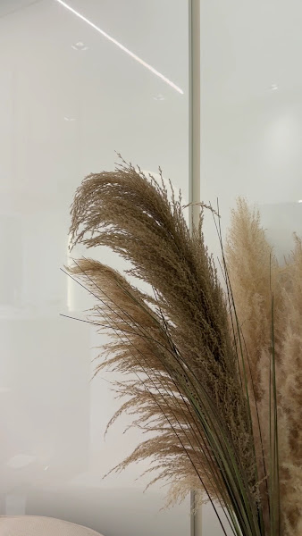 Foto 3 de Clínica Dra Laricia Freitas - Harmonização Orofacial