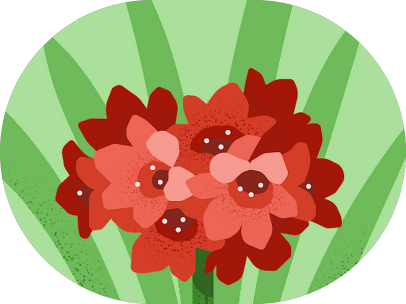 Foto 5 de Clinica Dra. Magna Alves