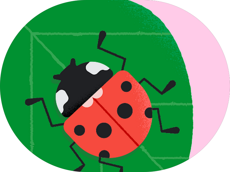 Foto 6 de Clínica Dra. Odailma Lima | Ortodontista | Dentista