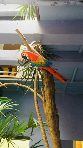 Foto 4 de Clínica Ede