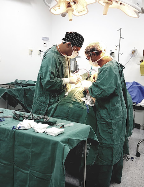 Foto 2 de Clínica Eduardo Carvalho