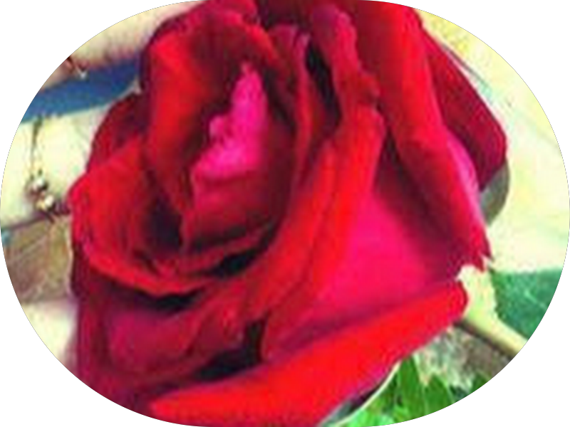 Foto 2 de Clínica Espaço Vitta - Centro Avançado de Saúde