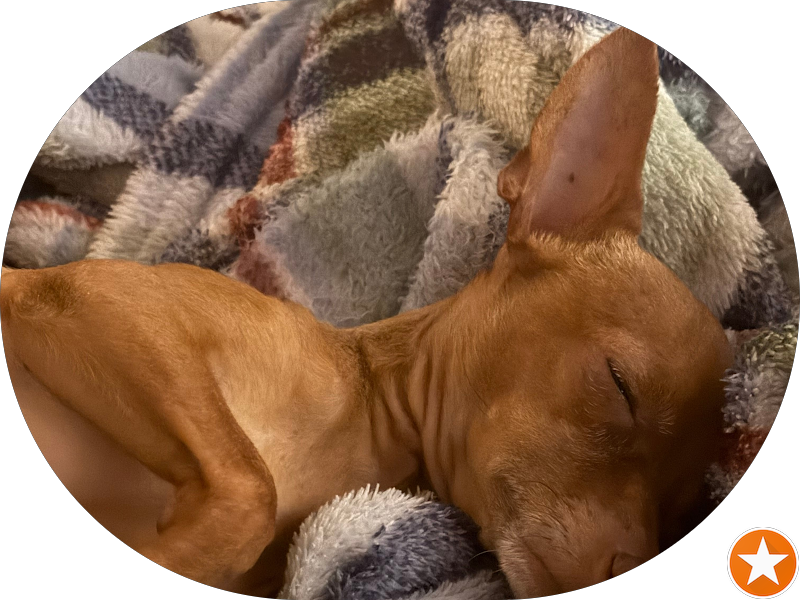 Foto 3 de Clinica Gastro - Dr. Geraldo Ishak