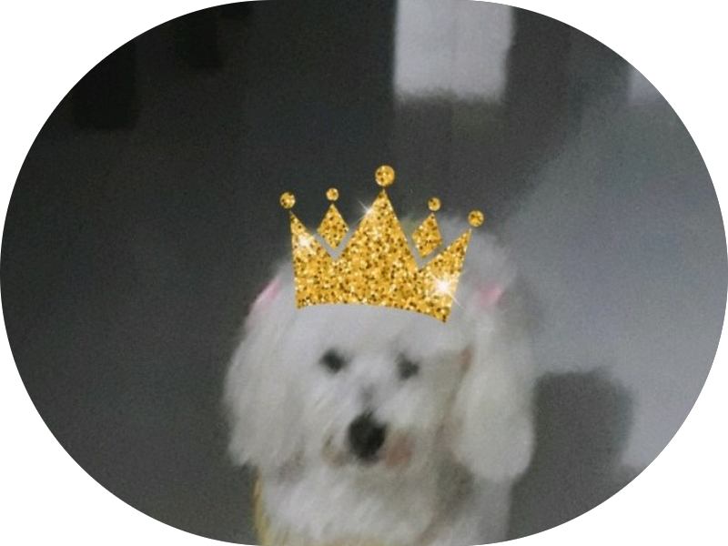 Foto 5 de Clínica Greggio Odontologia Integrada