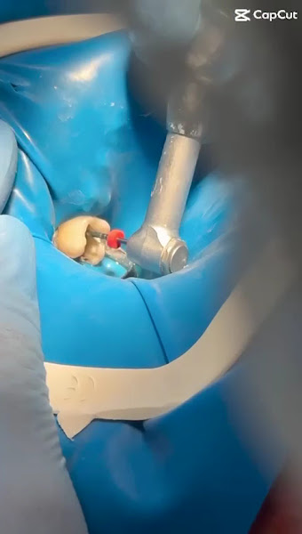 Foto 4 de Clínica Harmonize - Odontologia e Harmonização Facial