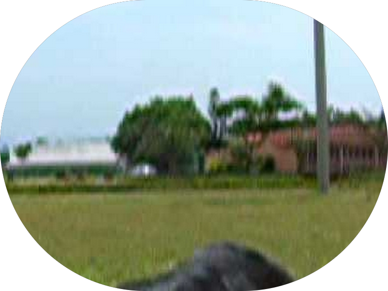 Foto 6 de Clínica Harmonize - Odontologia e Harmonização Facial