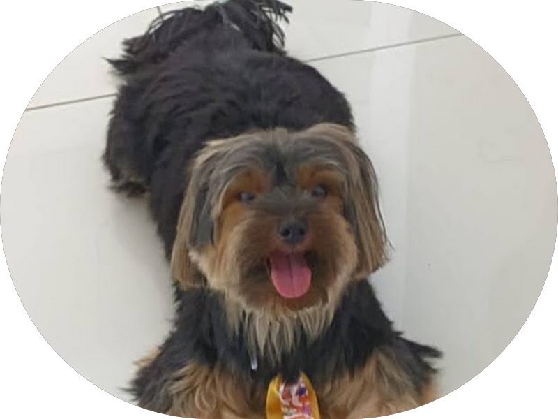 Foto 3 de Clínica Holística