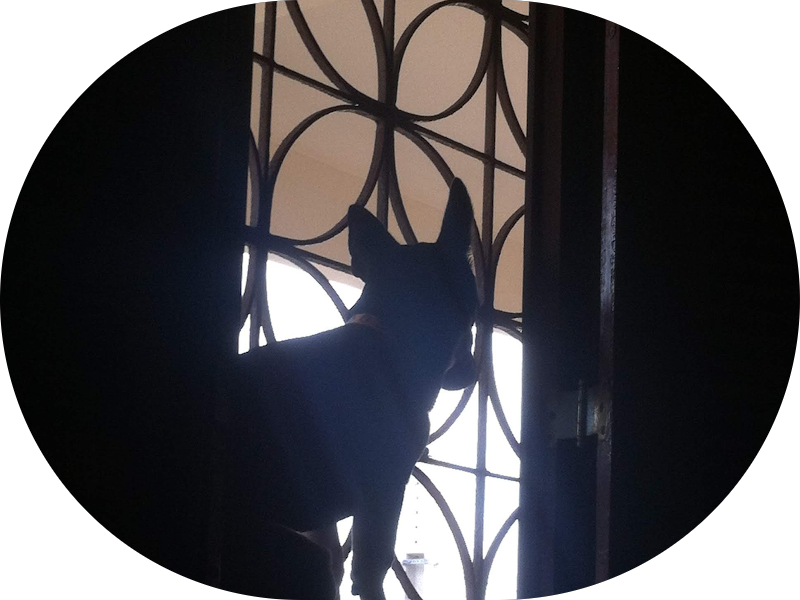 Foto 5 de Clínica Joaquim Nabuco