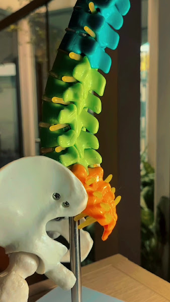 Foto 3 de Clínica Kumara Quiropraxia na Vila Madalena