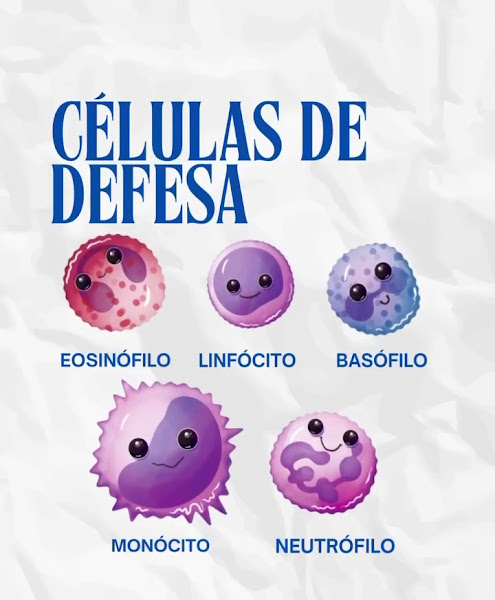 Foto 3 de Clínica Kure