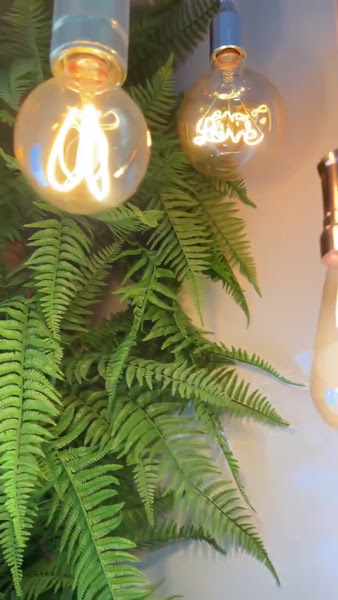 Foto 3 de Clínica Lizza