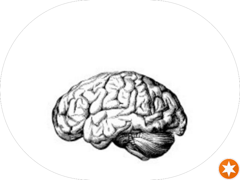 Foto de Clínica MACIEL Odontologia e Fisioterapia